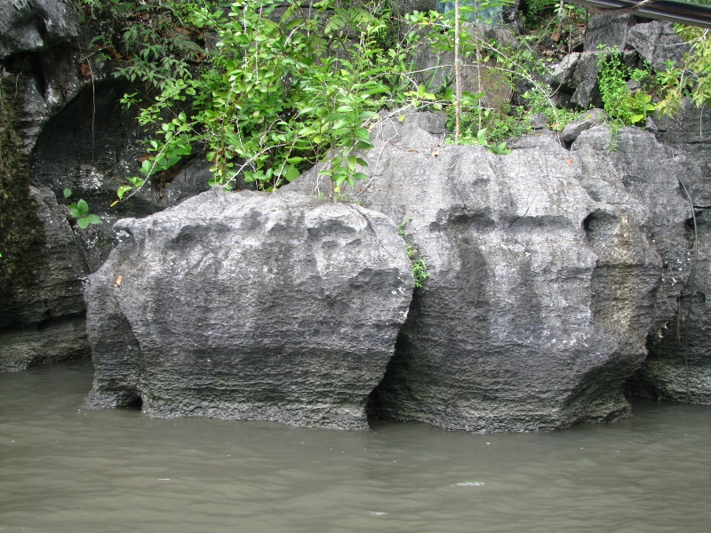 Камни в форме крокодила